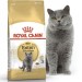 Сухой корм Royal Canin British Shorthair Adult Корм сухой полнорационный сбалансированный для кошек - Специально для взрослых британских короткошерстных кошек старше 12 месяцев (25570200R0)