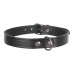 TRIXIE Ошейник Basic, XS: 19–24 cm/12 mm, чёрный