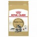 Сухой корм Royal Canin Maine Coon Adult Корм сухой полнорационный сбалансированный для кошек – Специально для взрослых кошек породы Мэйн Кун старше 15 месяцев (25500200R1)