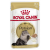 Влажный корм для кошек Royal Canin Feline Breed Nutrition Persian, мясо, 85г