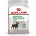 Сухой корм Royal Mini Digestive care Корм сухой полнорационный для взрослых и стареющих собак мелких размеров с чувствительным пищеварением (24470300R0)